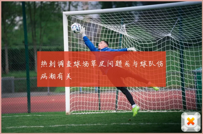 热刺调查球场草皮问题或与球队伤病潮有关