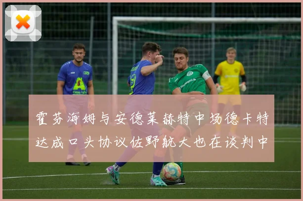 霍芬海姆与安德莱赫特中场德卡特达成口头协议佐野航大也在谈判中